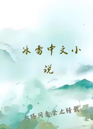 冰雷中文小说