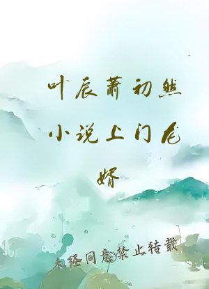 叶辰萧初然小说上门龙婿