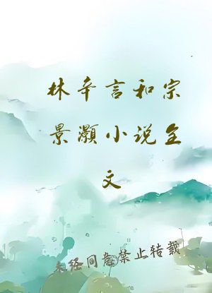 林辛言和宗景灏小说全文
