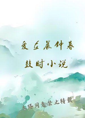 爱在晨钟暮鼓时小说