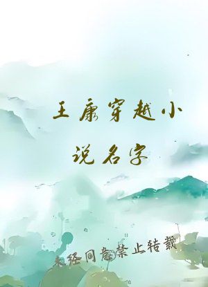王康穿越小说名字