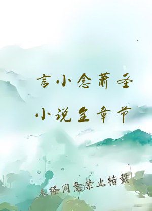 言小念萧圣小说全章节