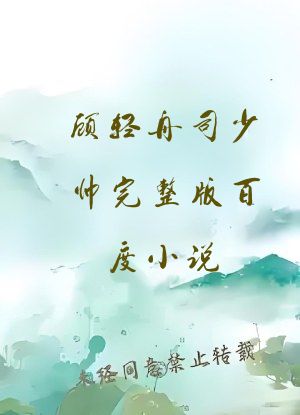 顾轻舟司少帅完整版百度小说
